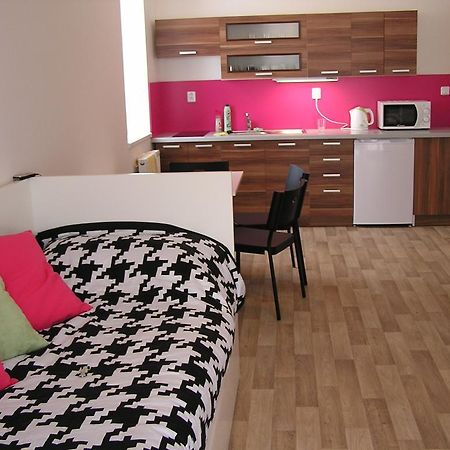 Apartment Třeboň الغرفة الصورة